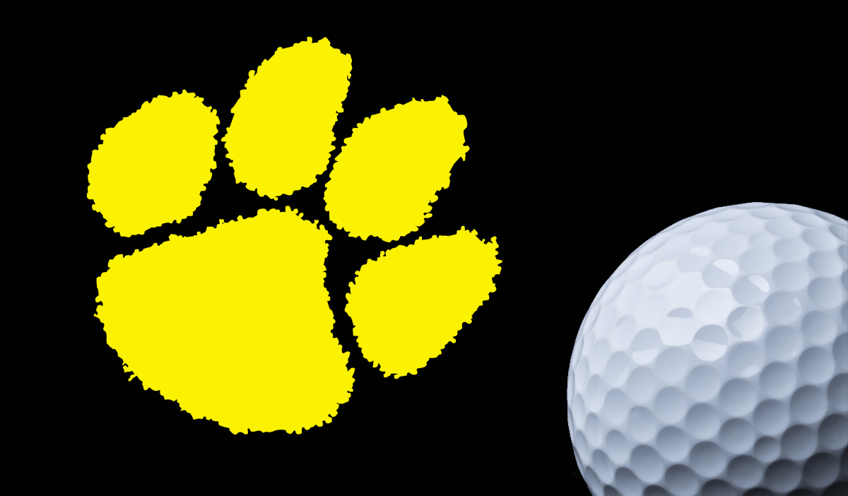 SWR defeats Chatham Central in ladies golf