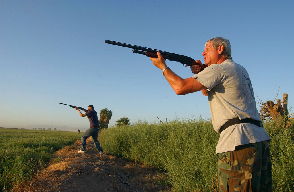 Boating, dove hunting highlight long weekend